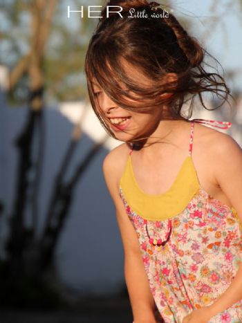 (image pour) PoiS PlumeS Flamboyant